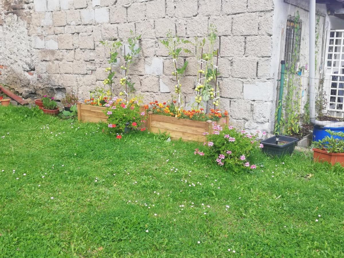 Apartman Petra Kovářská المظهر الخارجي الصورة